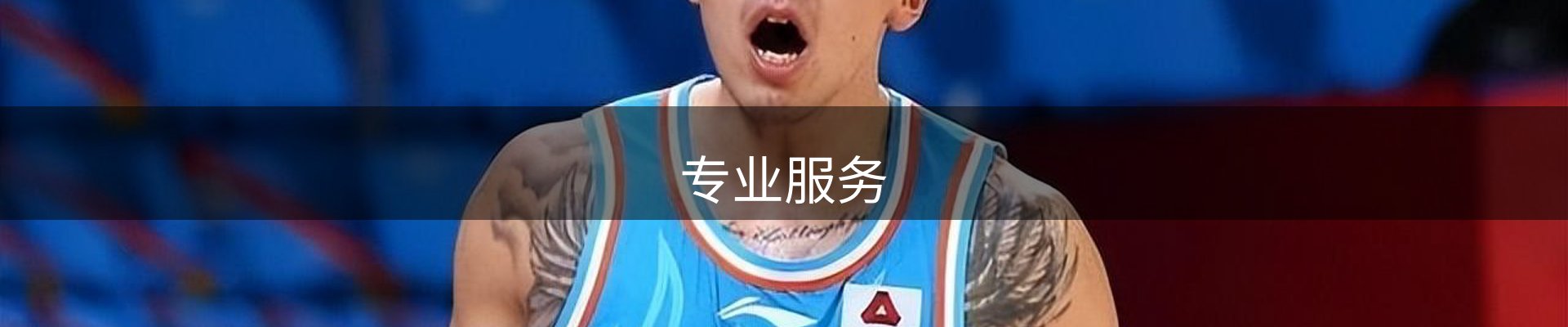 专业服务